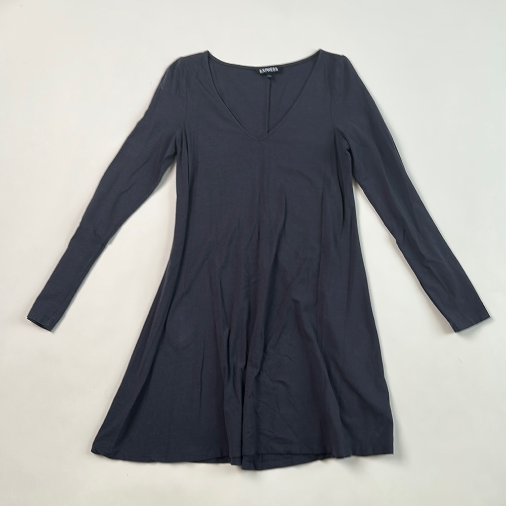 Express long sleeve swing dress